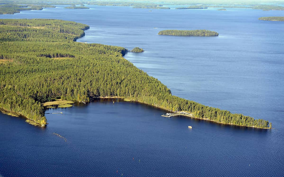 Sarviniemi