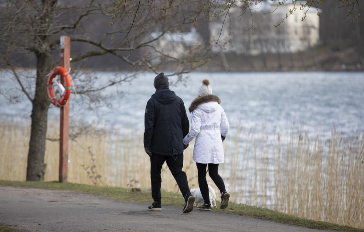 pariskunta ulkoiluttaa koiraa Töölönlahdella