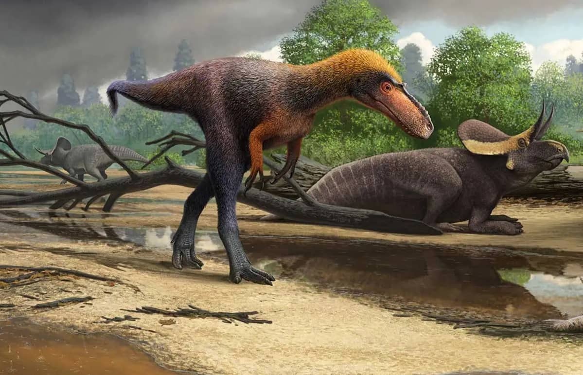 Ohuen turkin peittämä dinosaurus kävelee kahdella jalalla kahden muun dinosauruksen ohi.