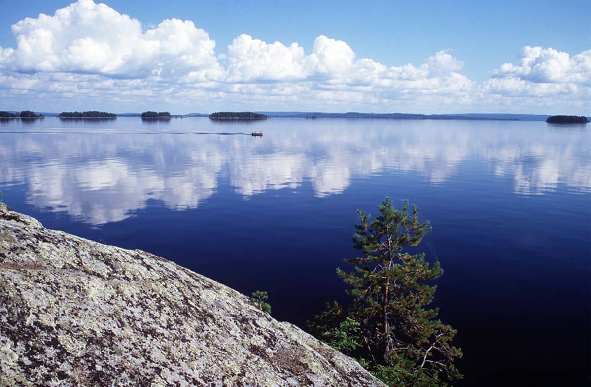 Kolin kansallispuisto.