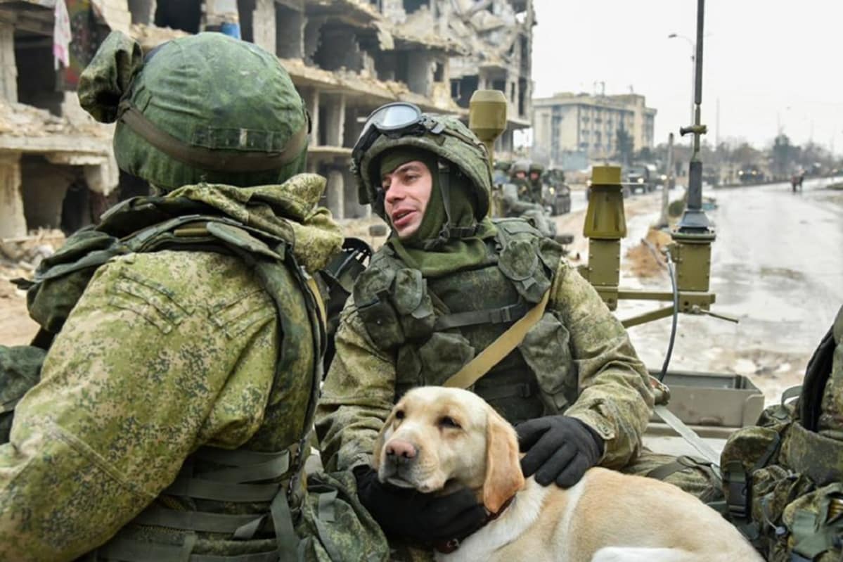 kaksi sotilasta ja koira