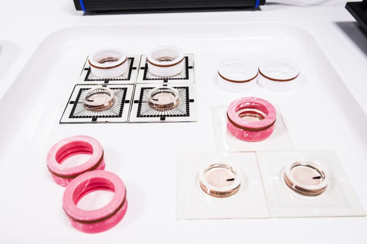 Biomaljat, kantasolututkimus, BioMediTech