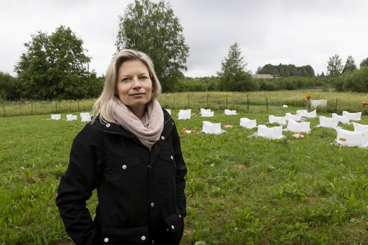 Anna-Liisa Laine, professori HY