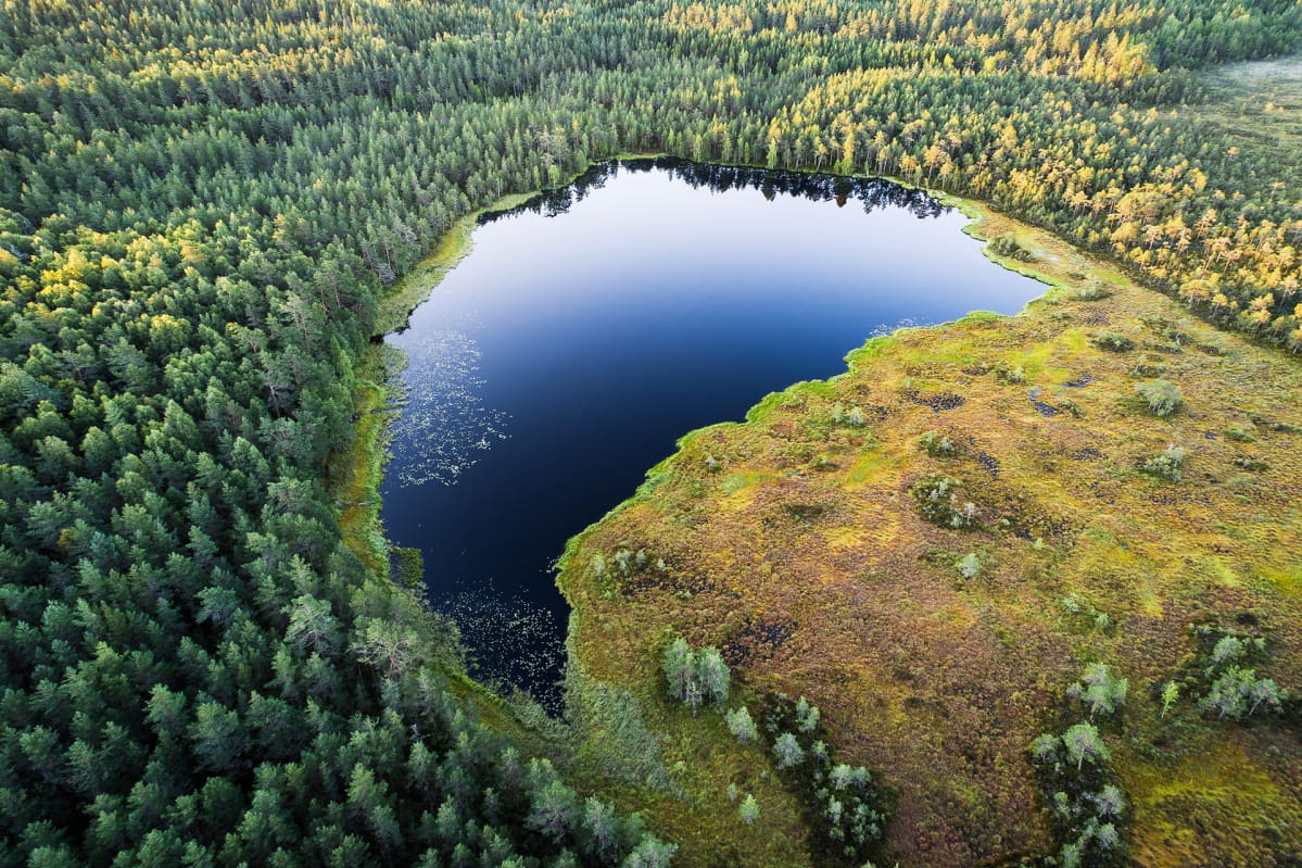 Lampi ilmakuvassa