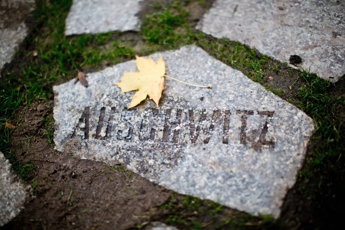 Harmaa kivilaatta, johon on kaiverrettu "Auschwitz". Laatan päällä on kellastunut vaahteranlehti.