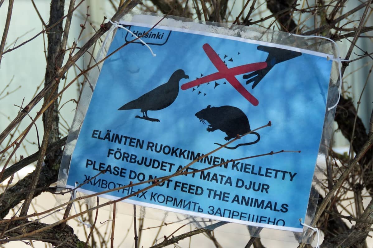 Oksaan narulla sidottu kyltti kieltää sanallisesti ja kuvallisesti ruokkimasta eläimiä. Kuvassa on pulu ja rotta.
