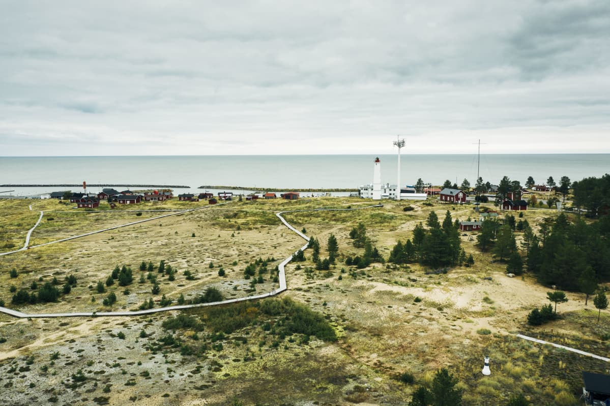 Kuvassa on Hailuoto syyskuussa 2020.