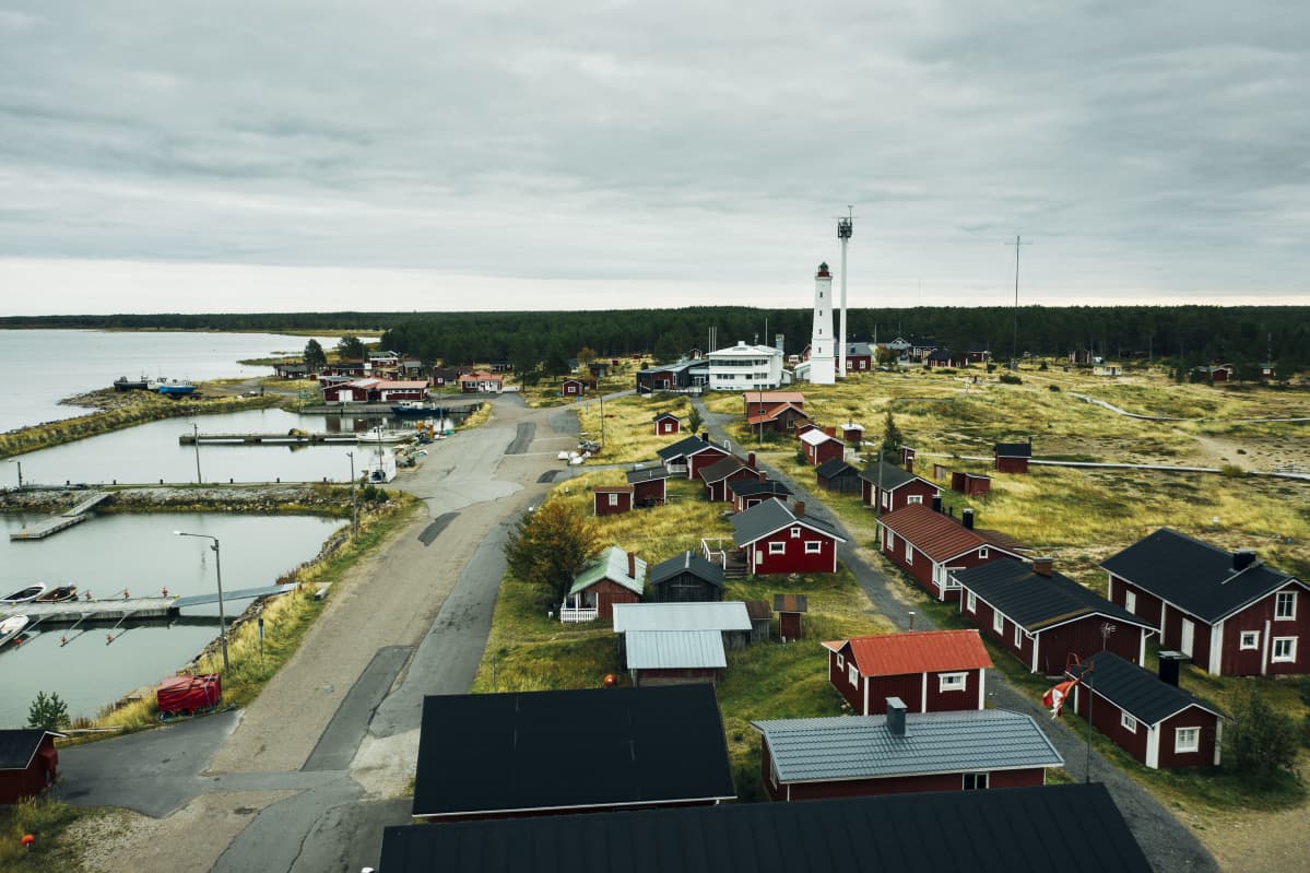 Kuvassa on Hailuoto syyskuussa 2020.