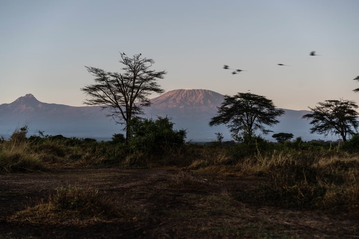 Kimanan luonnonsuojelualue sijaitsee aivan Tansanian rajan tuntumassa. Toisella puolella rajaa komeilee Afrikan korkein vuori, Kilimanjaro.