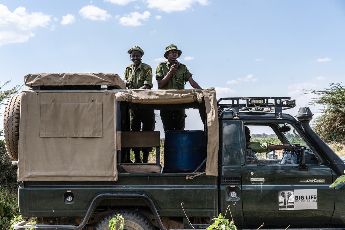 Tiukentuneen valvonnan ansiosta salametsästys norsunluun takia on vähentynyt Big Life Kenyan valvomilla alueilla huimasti. Jopa 90 prosentissa tapauksista tekijä saadaan kiinni ja norsunluu takavarikoitua.