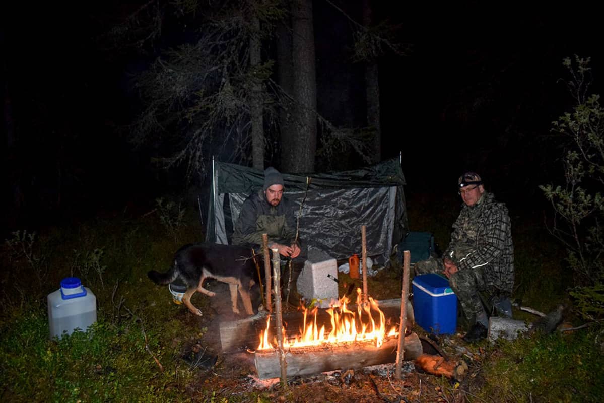 Kaksi miestä ja koira iltanuotiolla