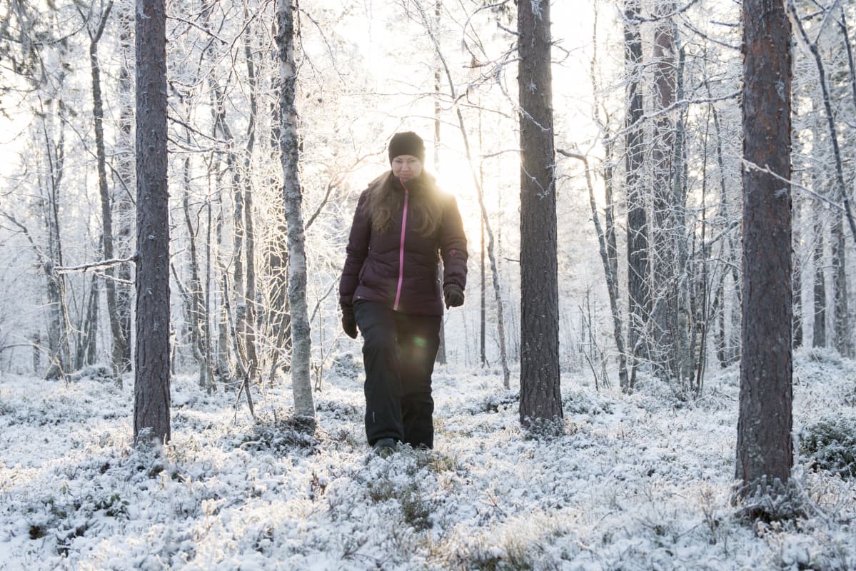 HaliPuu-metsä Kittilän Veitservasassa on vanhaa talousmetsää, jonka Riitta Raekallio-Wunderink valjasti uuteen käyttöön eläköityneen metsuri-isänsä Kaarlo Raekallion ideasta.