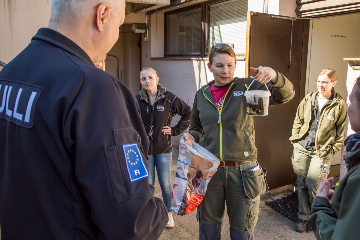 Tulli tuo verijuotikkaita Korkeasaareen