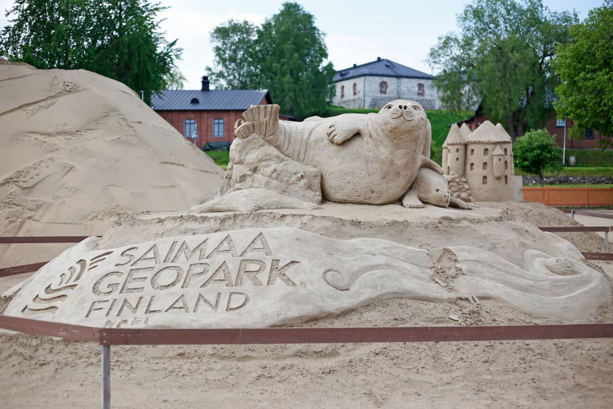Saimaannorppaa esittävä hiekkaveistos.