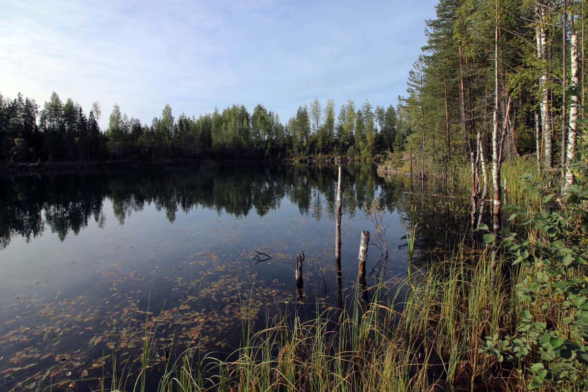 Vedellä täyttynyt kaivosallas näyttää lammelta.