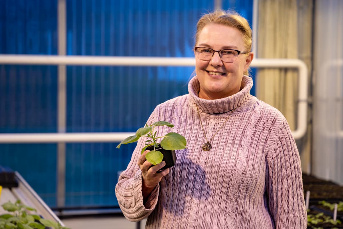 dosentti, yliopistonlehtori Kristiina Mäkinen, Mikrobiologian osasto, Kasvibiologia, mikrobiologia, virologia
