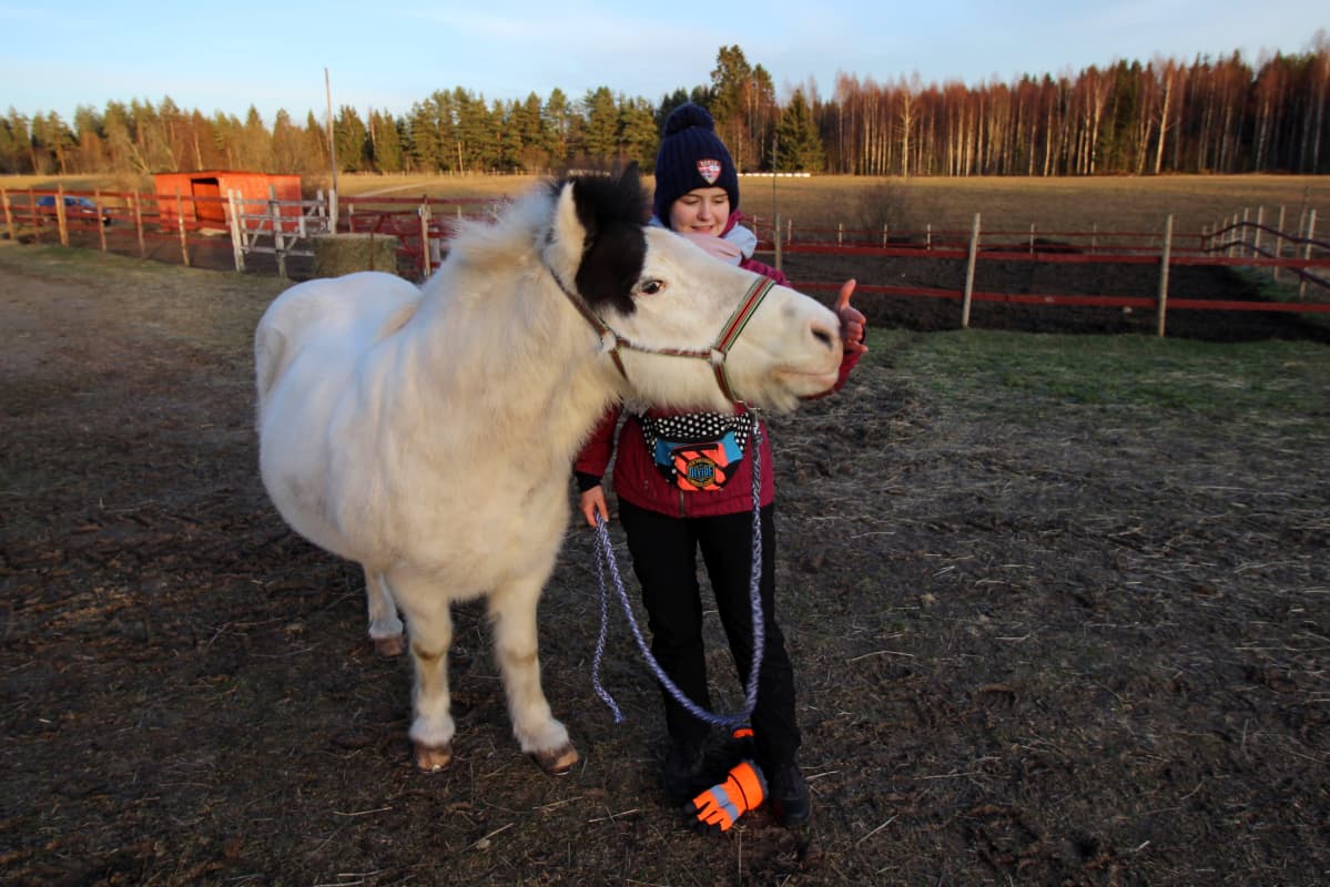 Hevonen koskettaa Mila Tantun kättä turvallaan.