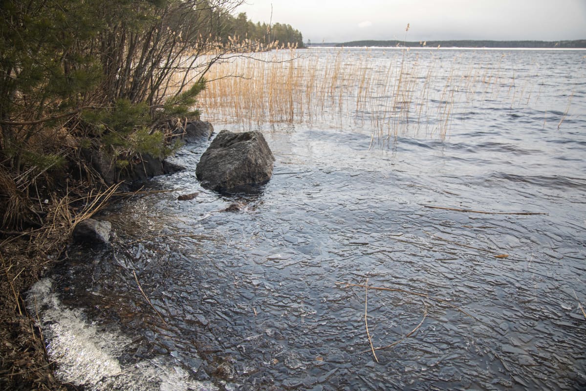 Jäät ovat sulaneet Saimaasta Kivisalmen edustalla Lappeenrannassa.