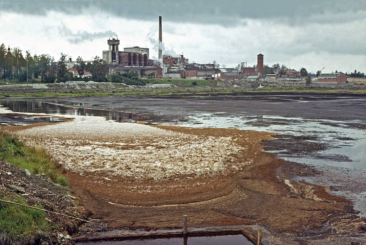 Lielahden sisäliete elokuussa 1968