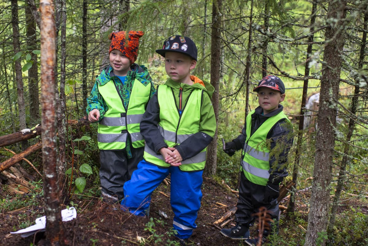 poja metsässä tarhassa