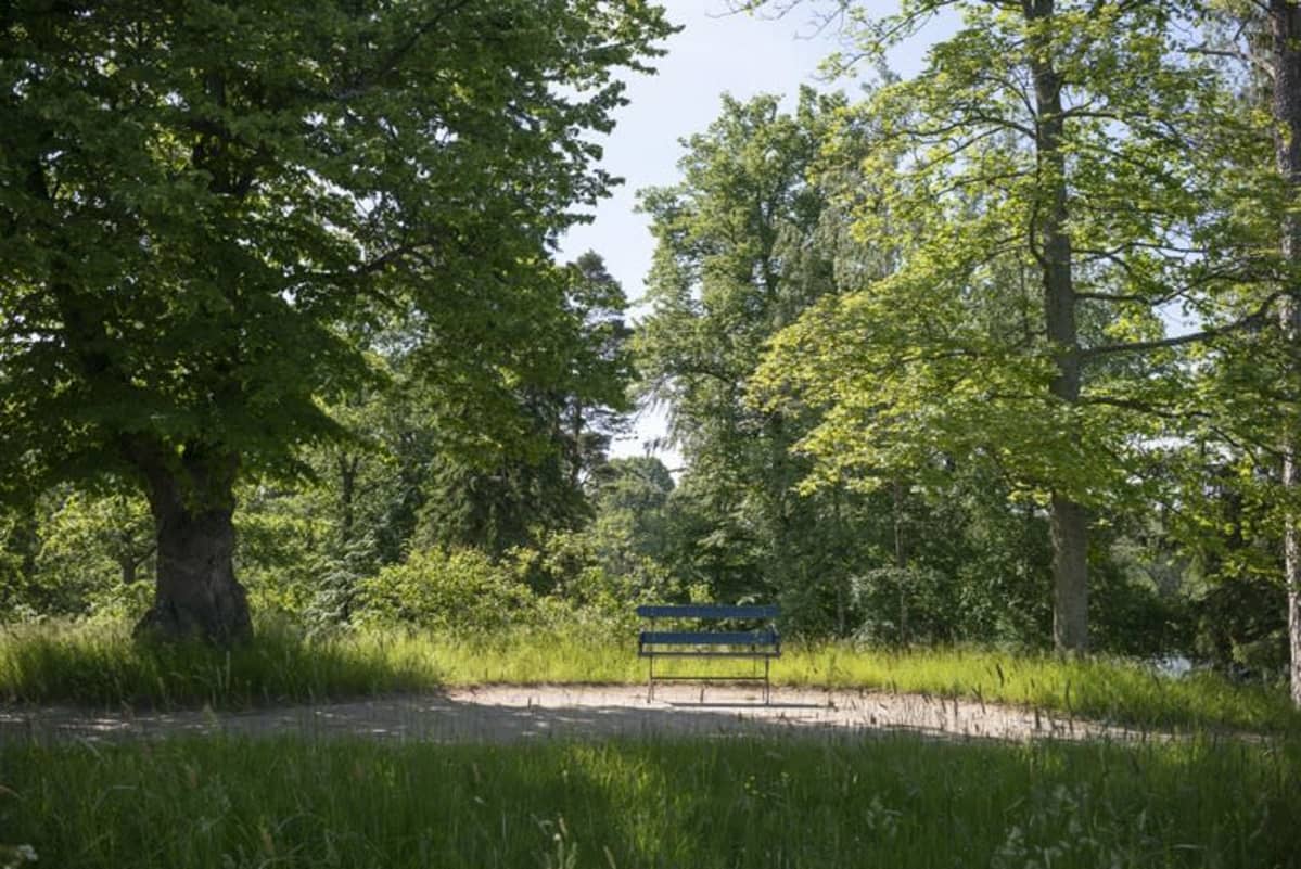 Tullisaaren kartanopuisto Helsingissä