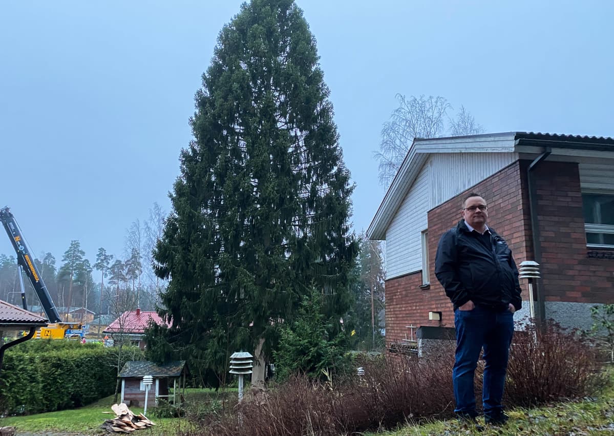 Turun tuomiokirkon joulukuusen haku Maskussa 25.11.2020.