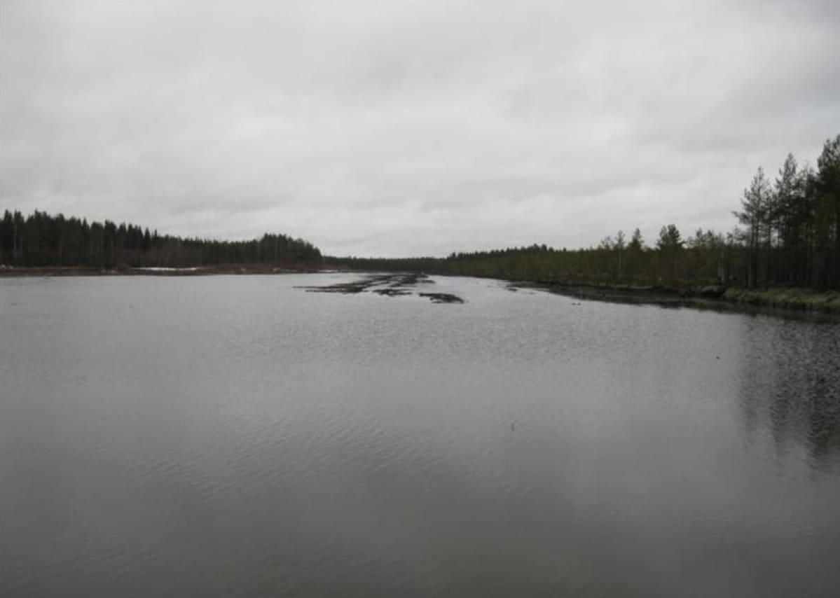 Kevättulva on peittänyt turpeennostosuon Siiranviidalla. Suo ei ole Vapon turpeentuotantoalue.