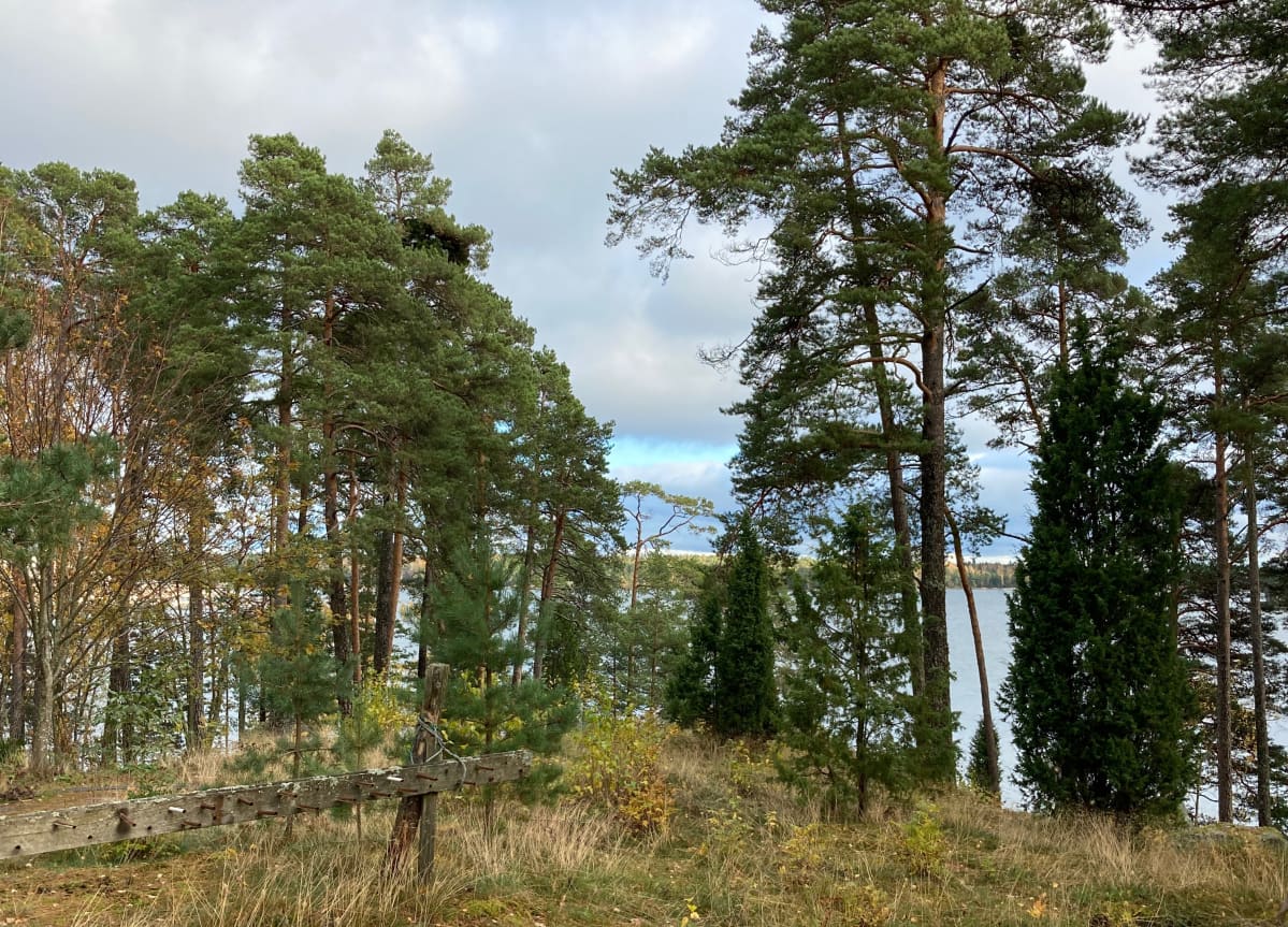 Vallattu kiinteistö sijaitsee arvokkaalla merenrantatontilla Helsingin Vuosaaressa.