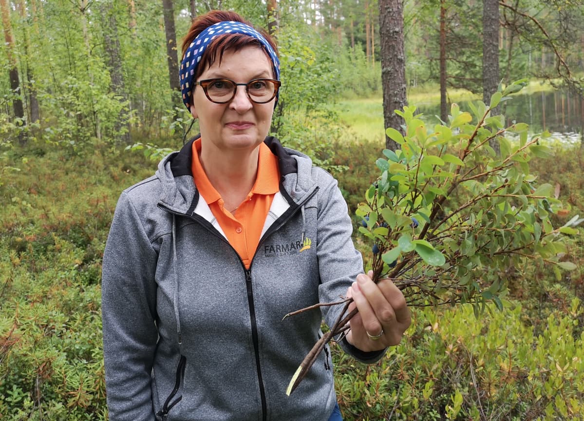 Mervi Kukkonen suosittelee kerämään juolukkaa ja variksenmarjaa, jos mustikkaa ei löydy.
