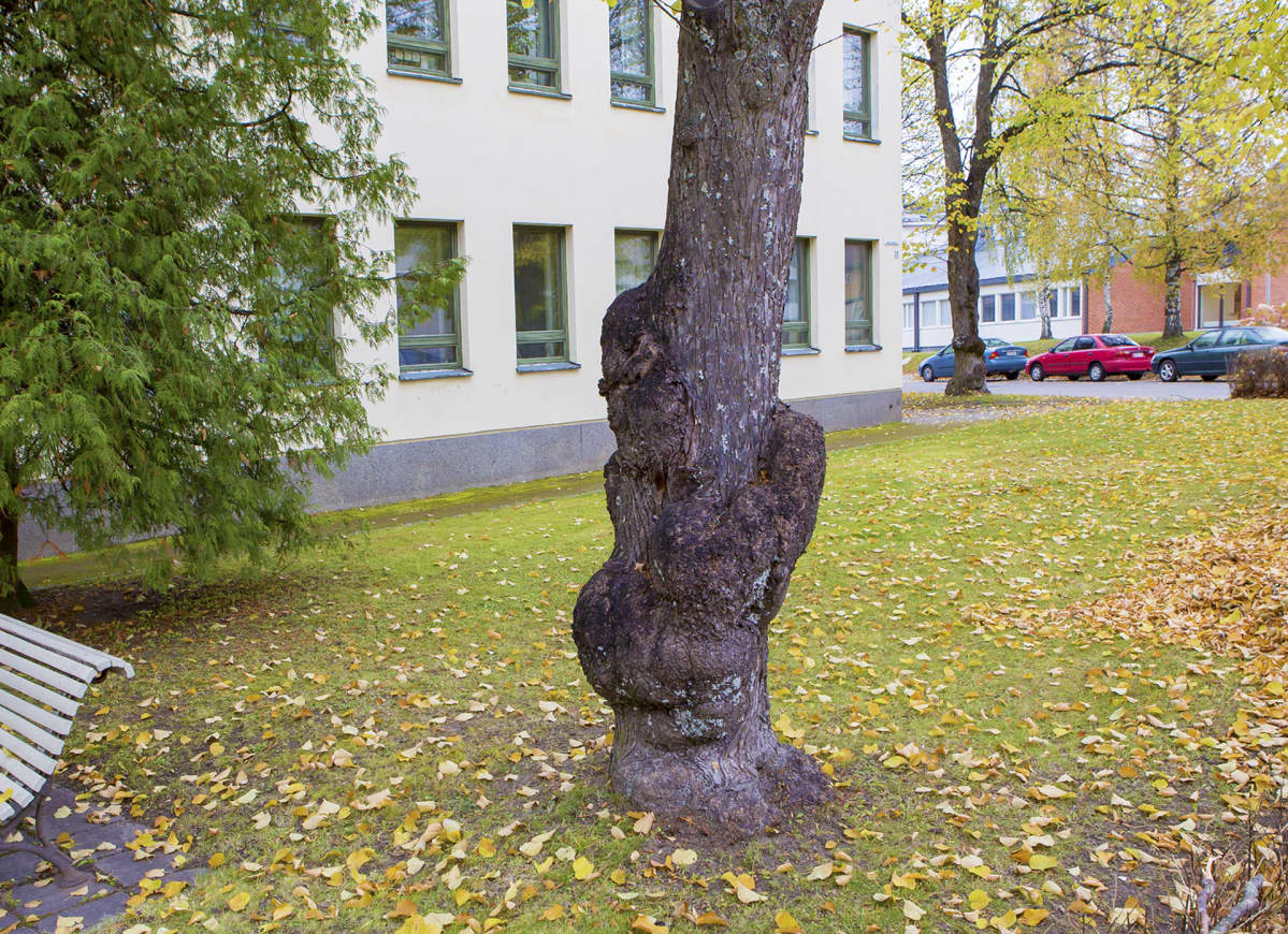 Lauritsalan Kauppalantalo vuonna 2016.