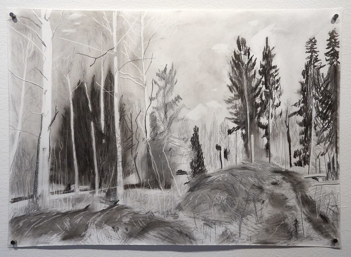 VERA DEN AREND, hiilipiirros metsästä