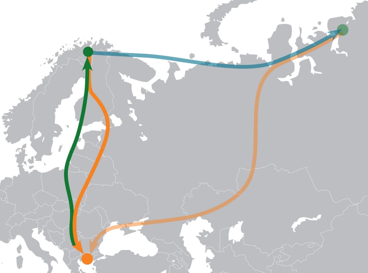 Pohjoismaiden kiljuhanhipopulaation muuttoreitit