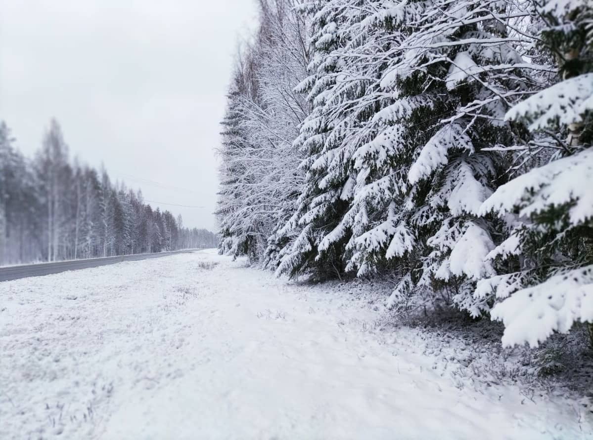Luminen tienpiennar Joenseen UImaharjussa.