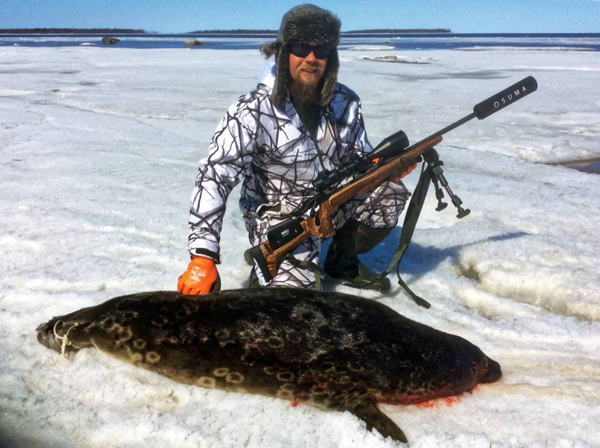 Hylkeenpyynti vaatii metsästäjältä osaamista.
