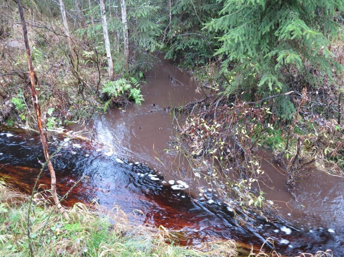 Turpeennostoalueelta tuleva samea vesi (ylhäältä) yhdistyy metsäojasta valuvaan tummaan veteen (vasemmalta) tulvapiikin jälkeen Multialla.