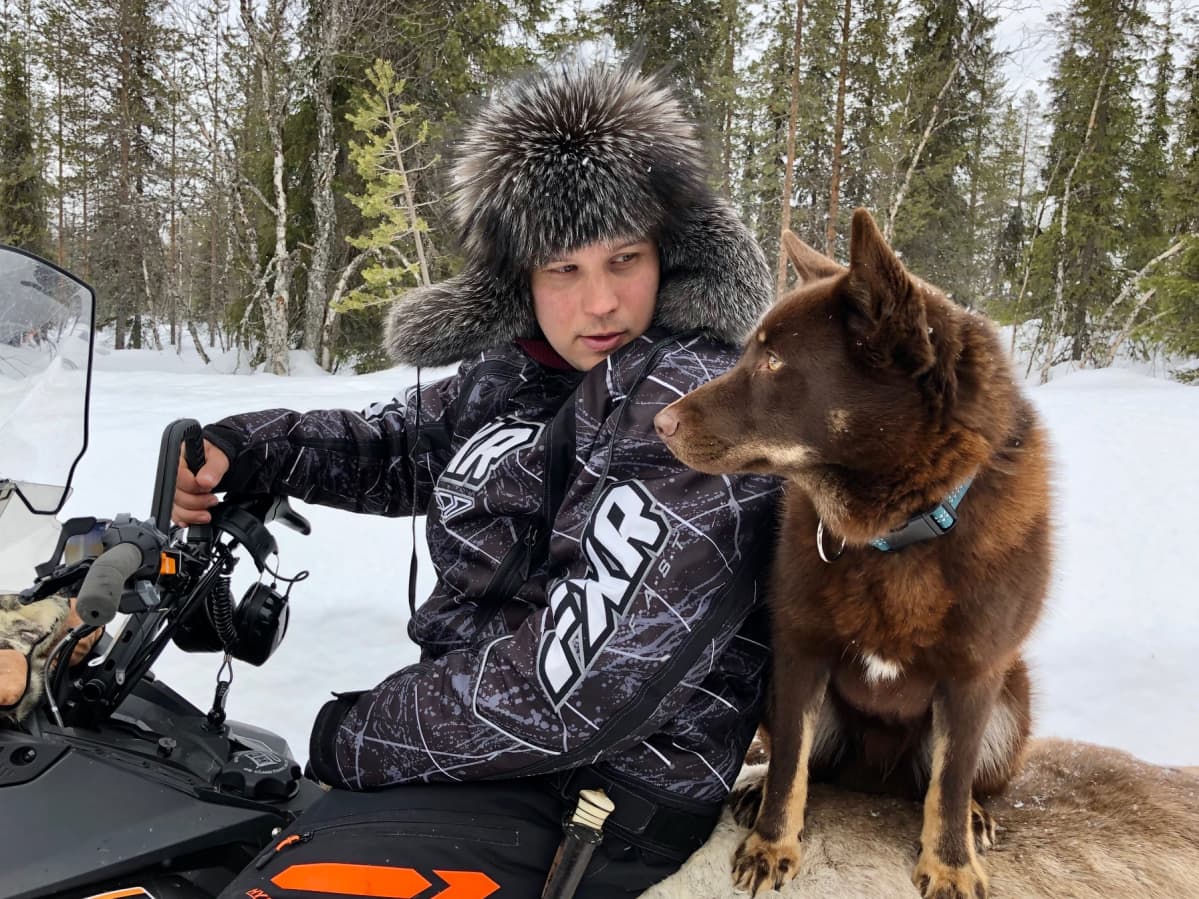 Lapin paliskunnan poroisäntä Antti Äärelä ja porokoiransa Ruvge. Vuotso, Sodankylä 11.3.2020.