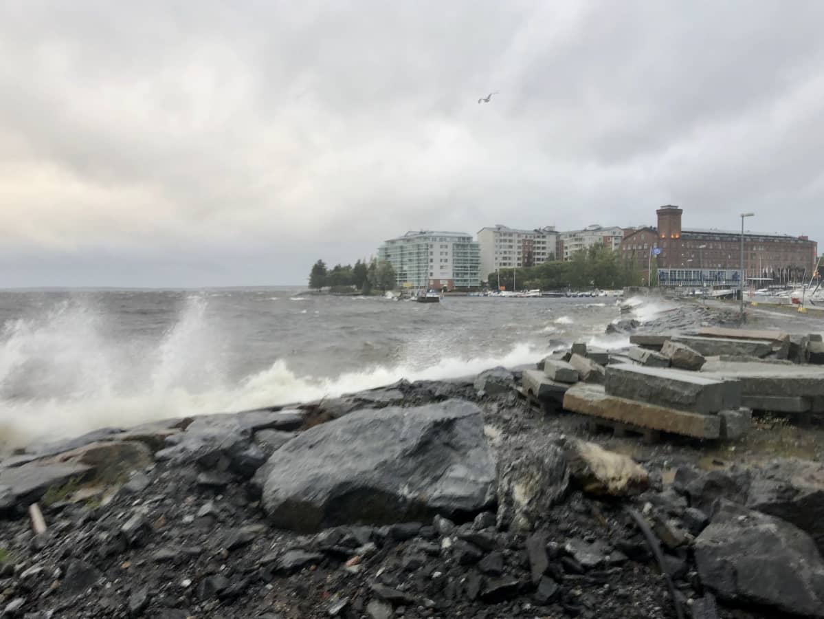 Tampereen Naistenlahdessa myrsky pauhaa ja nostaa tyrskyjä.