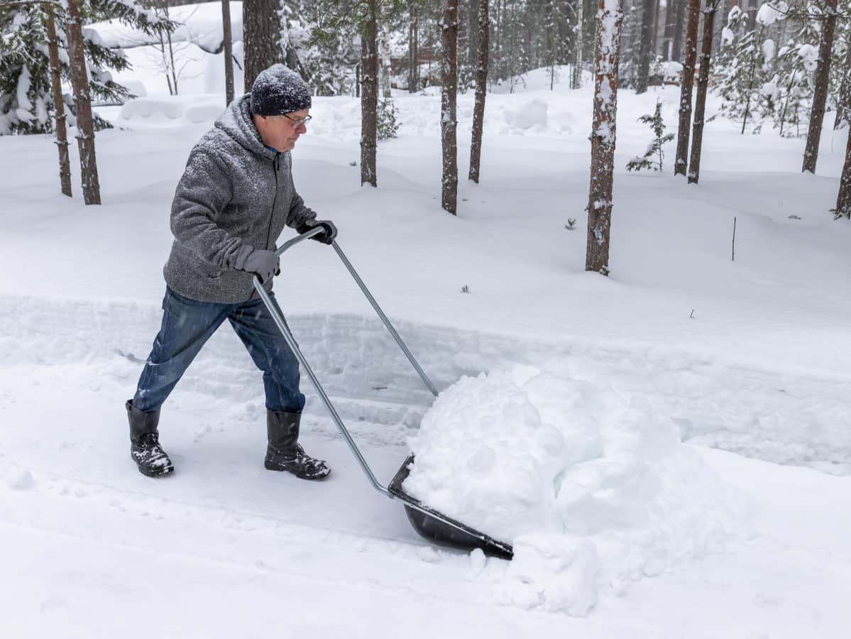 Jorma Paavilainen kolaa lunta pihassa.