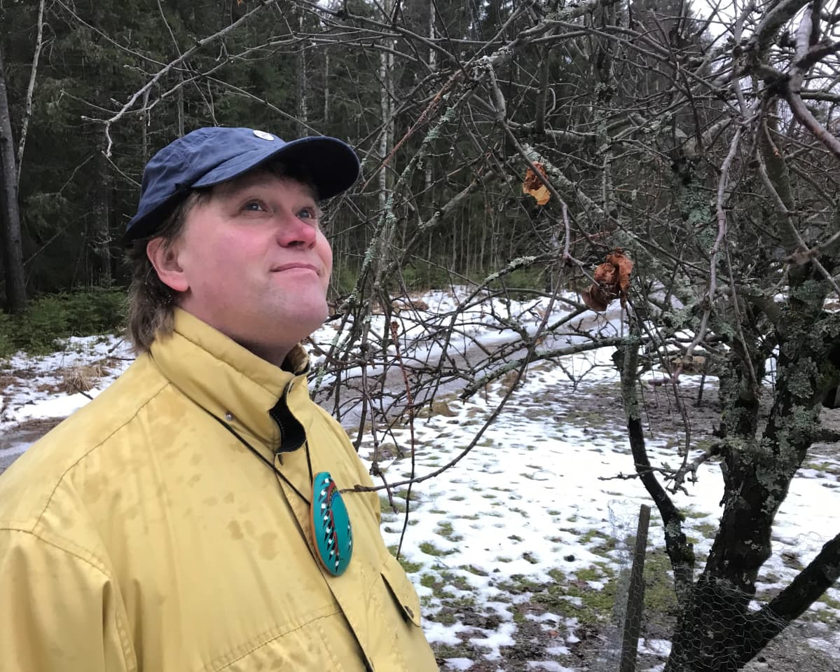Suomen Luonnonsuojeluliton etelä-Hämeen aluesihteeri Karri Jutila kuuntelee lintuja pihapuun äärelllä.