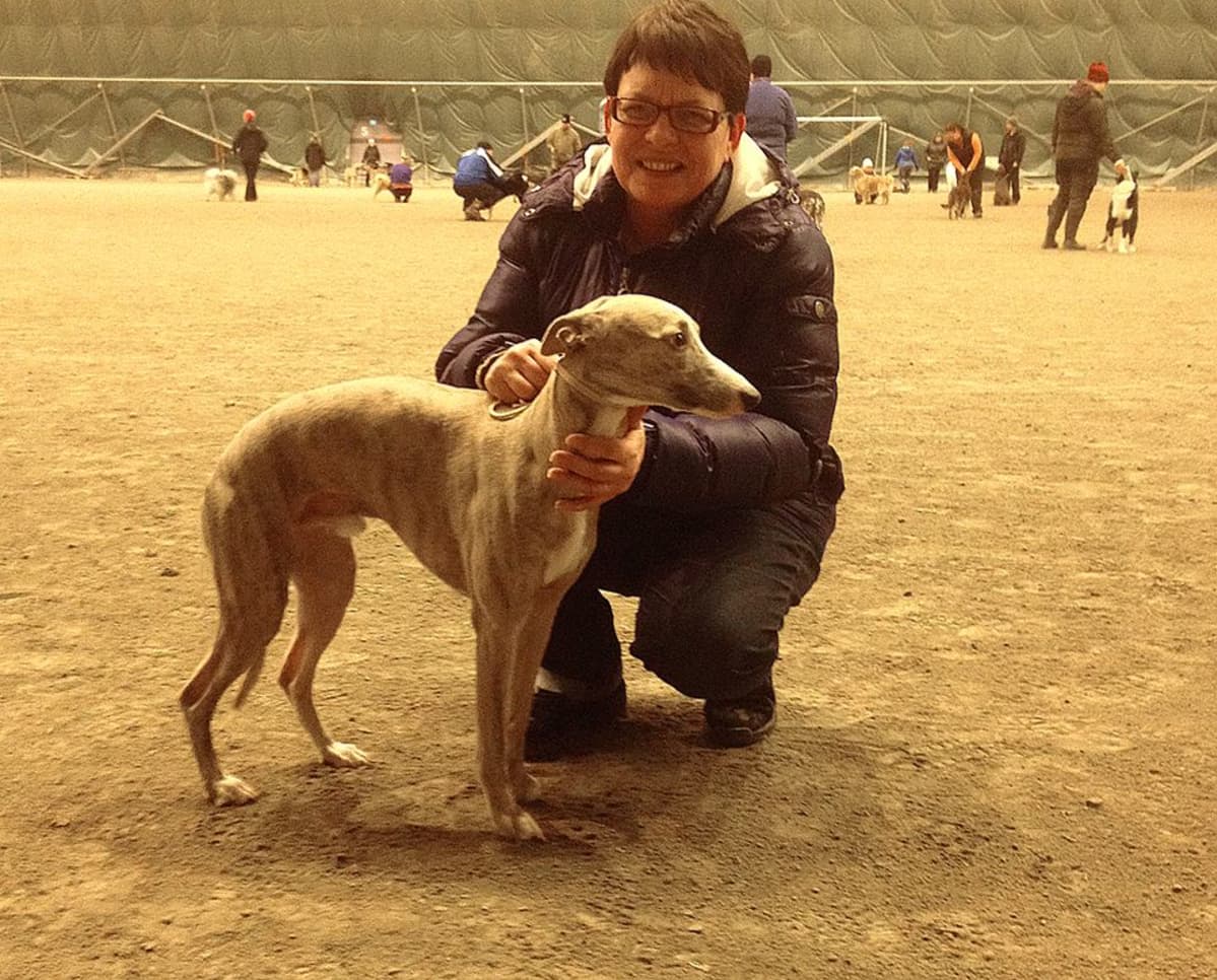 Whippet Usko ja omistajansa Riitta Vepsäläinen.