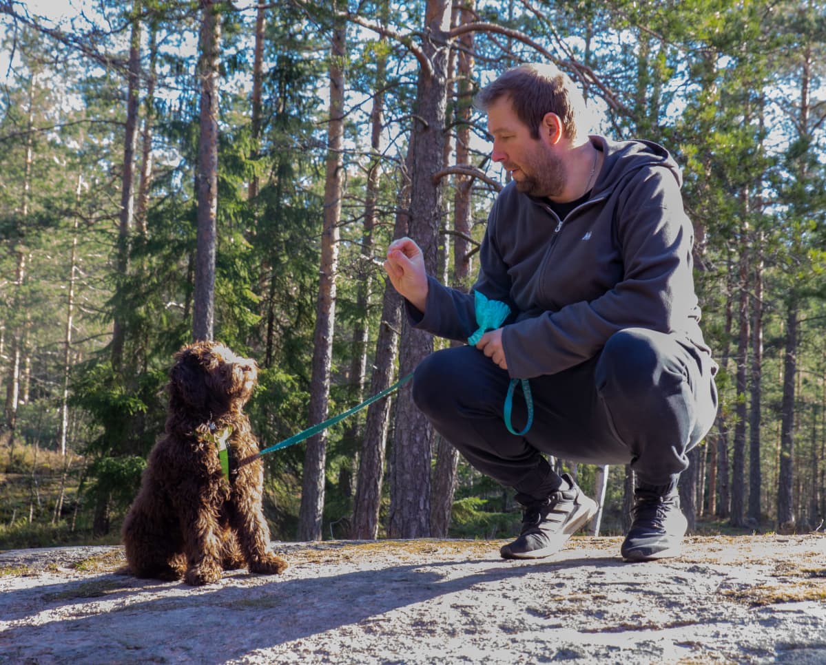 Teemu Lepola ja Rico (australian labradoodle, 5 kk) Kuninkaantammen kallioilla.