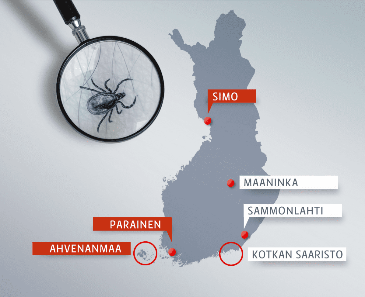 Punkkien levinneisyys kartalla.
