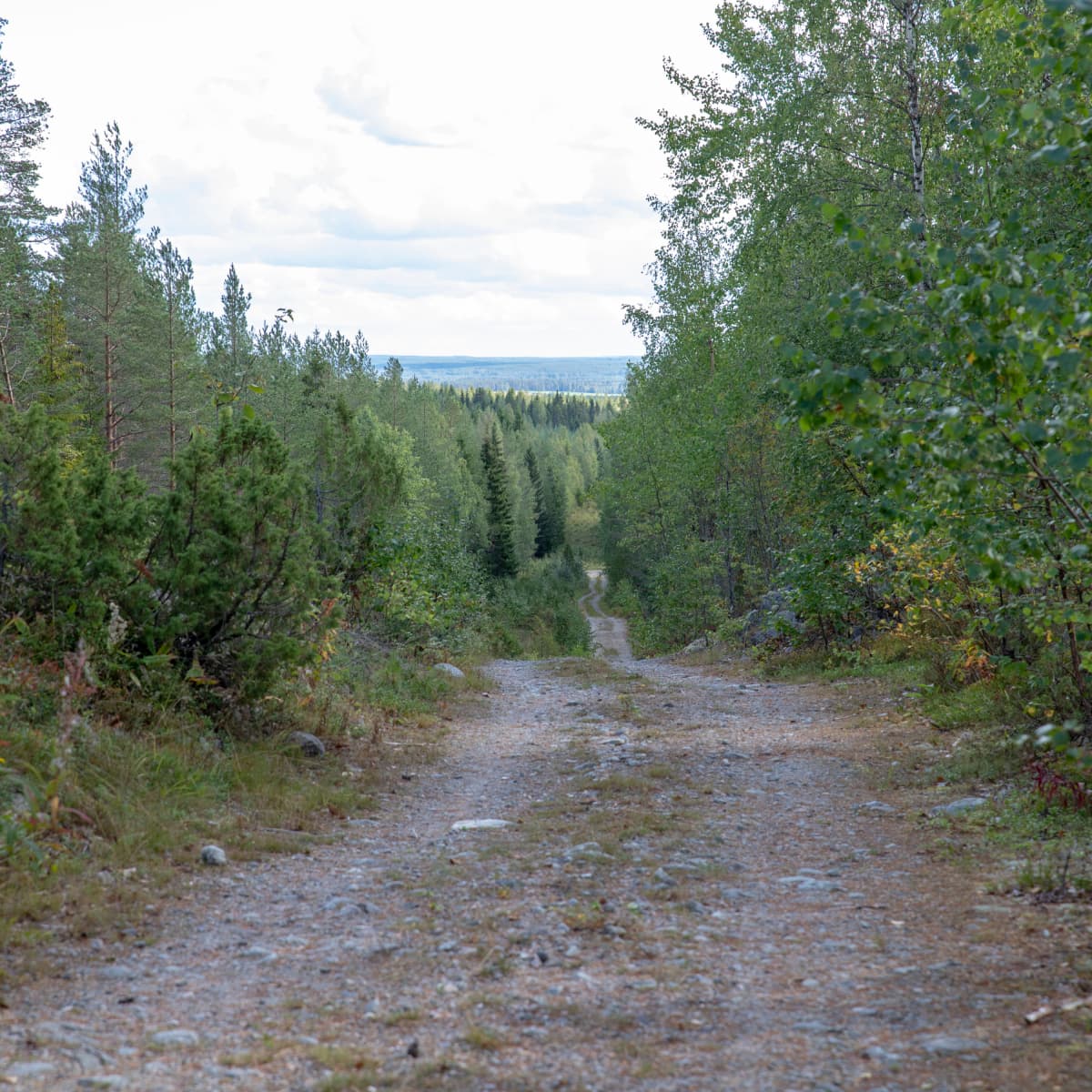 Näkymä Lehtivuoren päältä.