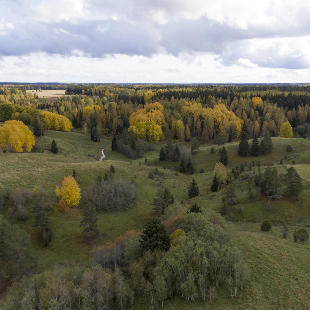 Ilmakuva Häntälän notkoilta Somerolta, puissa on ruskan värit.