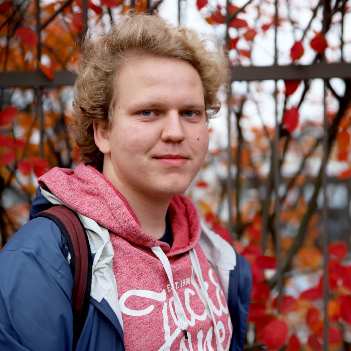 Aale Puranen
