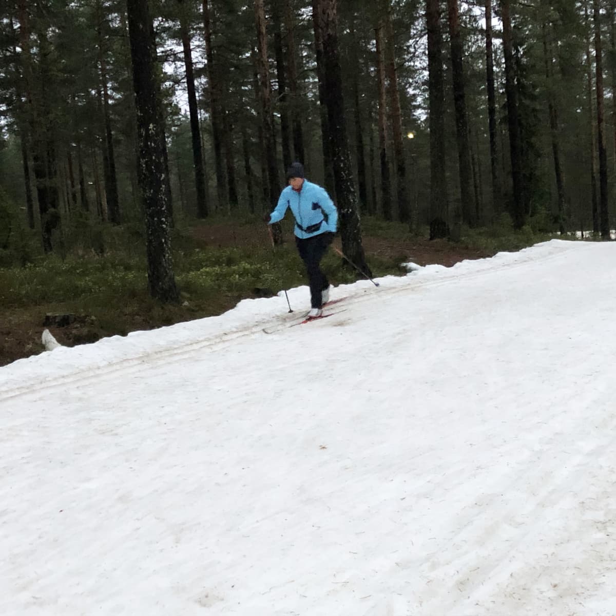 hiihtäjä ladulla