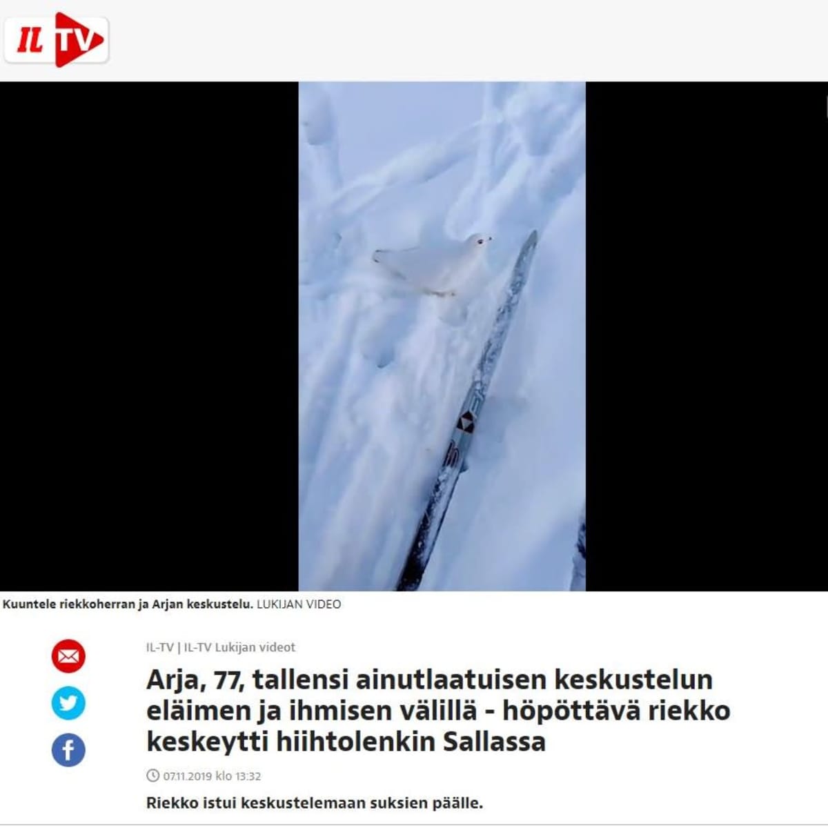 Kuvakaappaus Ilta-Lehden videosta, jossa heidän lukijansa kohtaa hiihtolenkillään riekon.