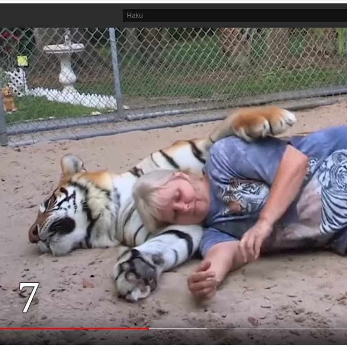 Kuvakaappaus Youtube-videosta: nainen makaa makaavan tiikerin kainalossa.