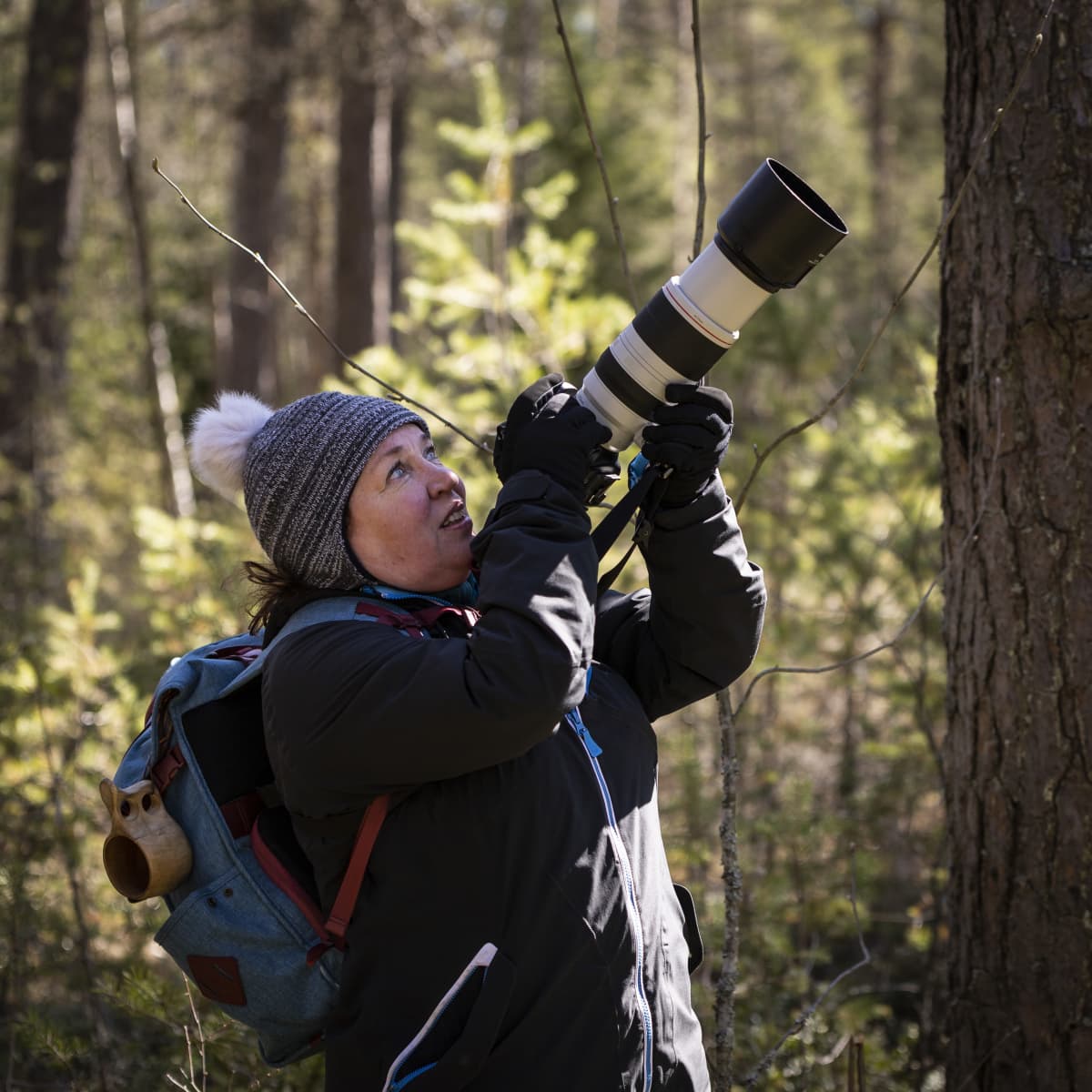 Anne Keski-Vinkka seisoo metsässä ja katsoo kameransa takaa ylös puihin.