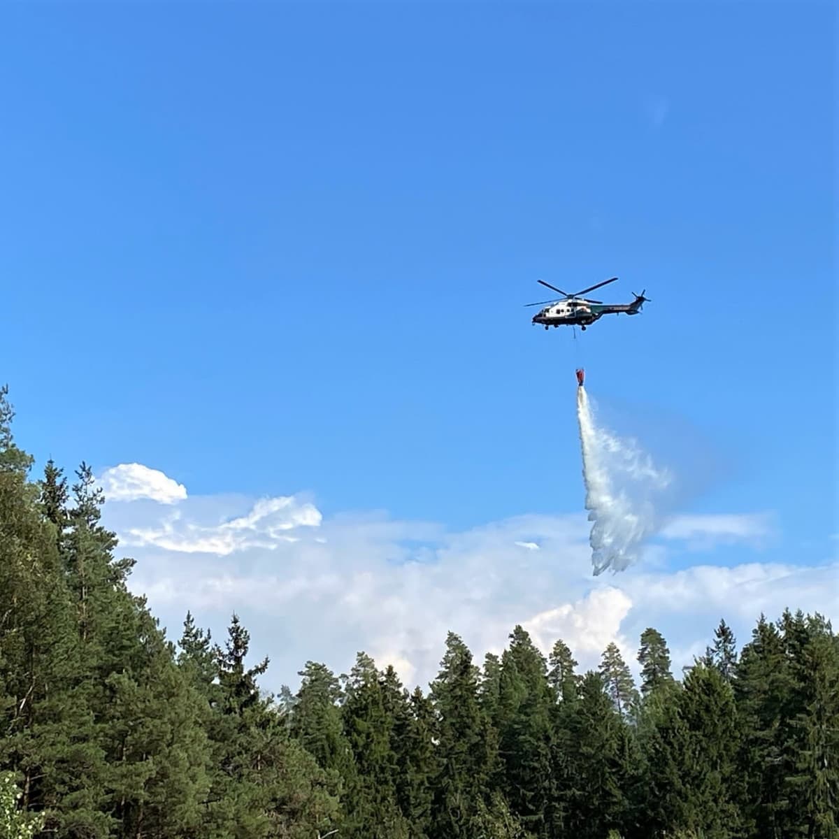 Lentosammutusta Liedon Ilmaristen Palovuoren metsäpalossa